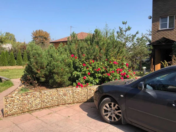 Зона барбекю и территория