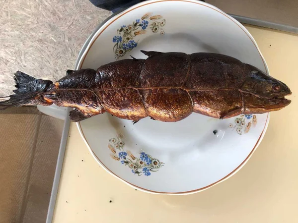 Зона барбекю и территория