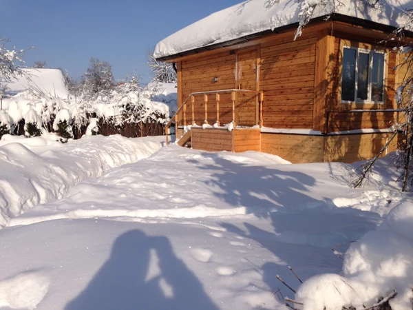 Русская баня на дровах