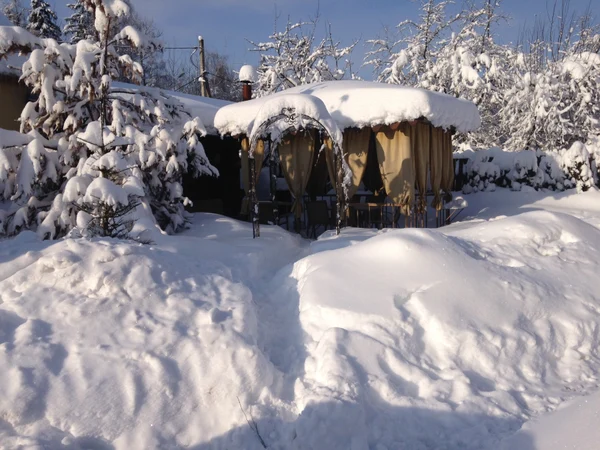 Русская баня на дровах