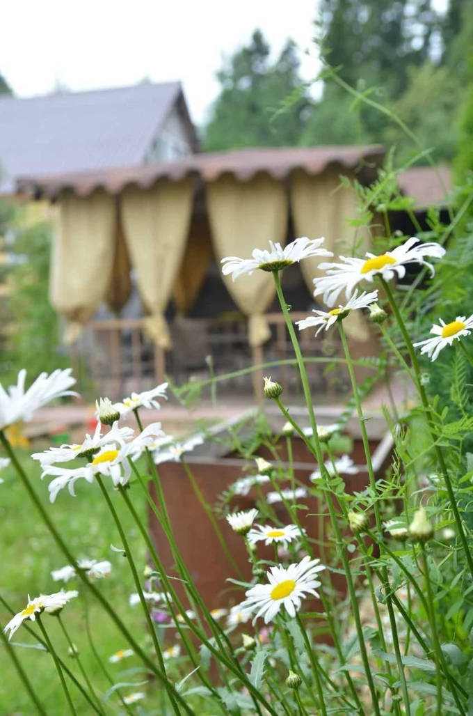 Зона барбекю и территория